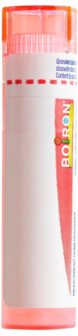 BOIRON Staphysagria Gran CH 7 4 g