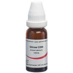 Omida Silicea Glob C 200 14 g
